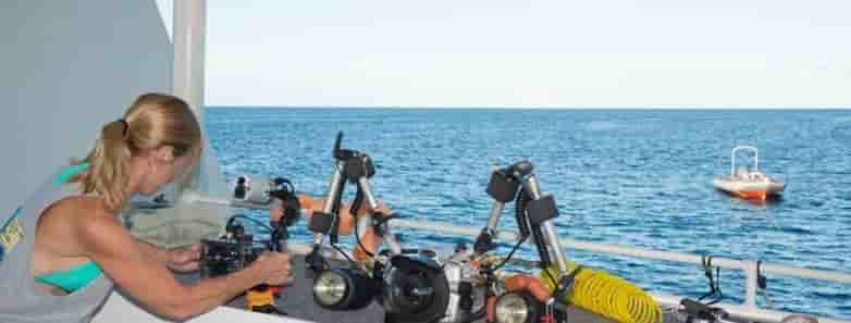 Thumbnail 11 Thumbnail 11