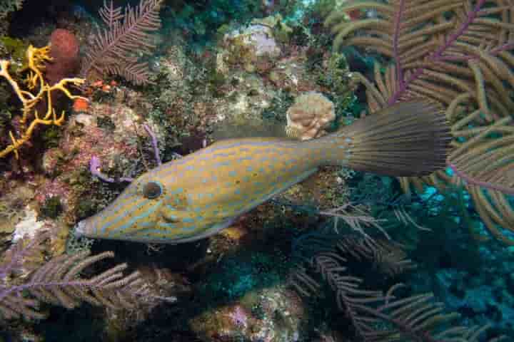 Thumbnail 23 Thumbnail 23