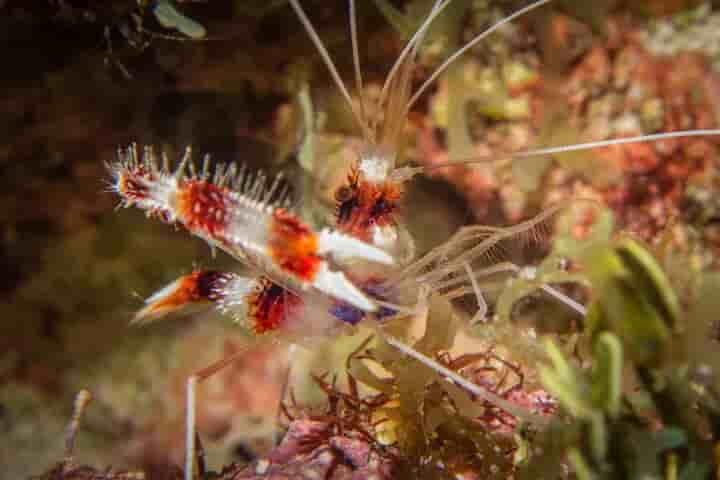 Thumbnail 24 Thumbnail 24