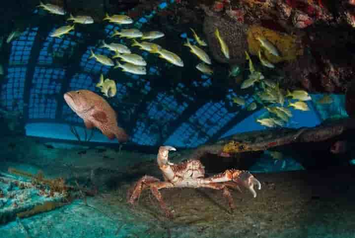 Thumbnail 27 Thumbnail 27