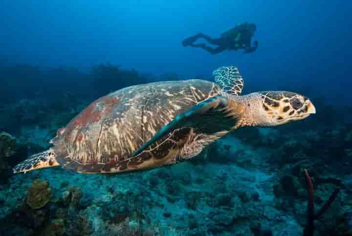 Thumbnail 28 Thumbnail 28