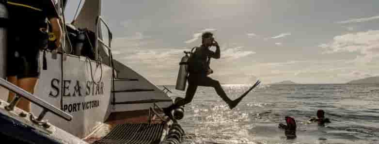 Thumbnail 13 Thumbnail 13