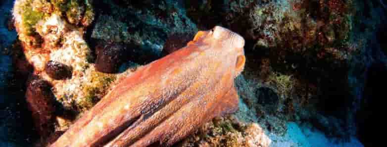 Thumbnail 11 Thumbnail 11