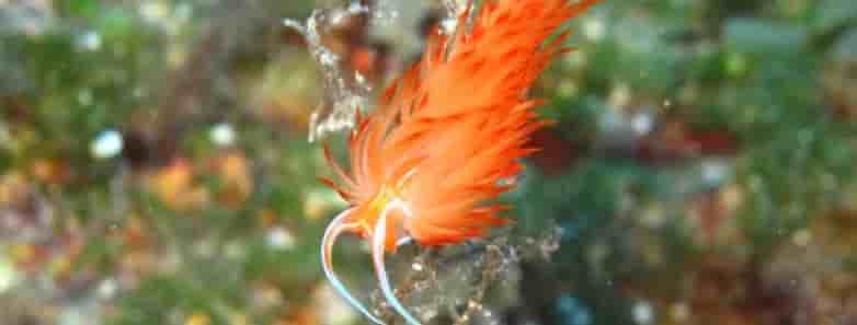 Thumbnail 15 Thumbnail 15