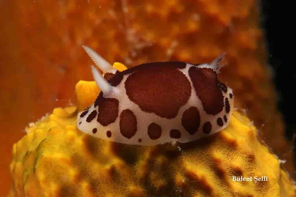 Thumbnail 19 Thumbnail 19