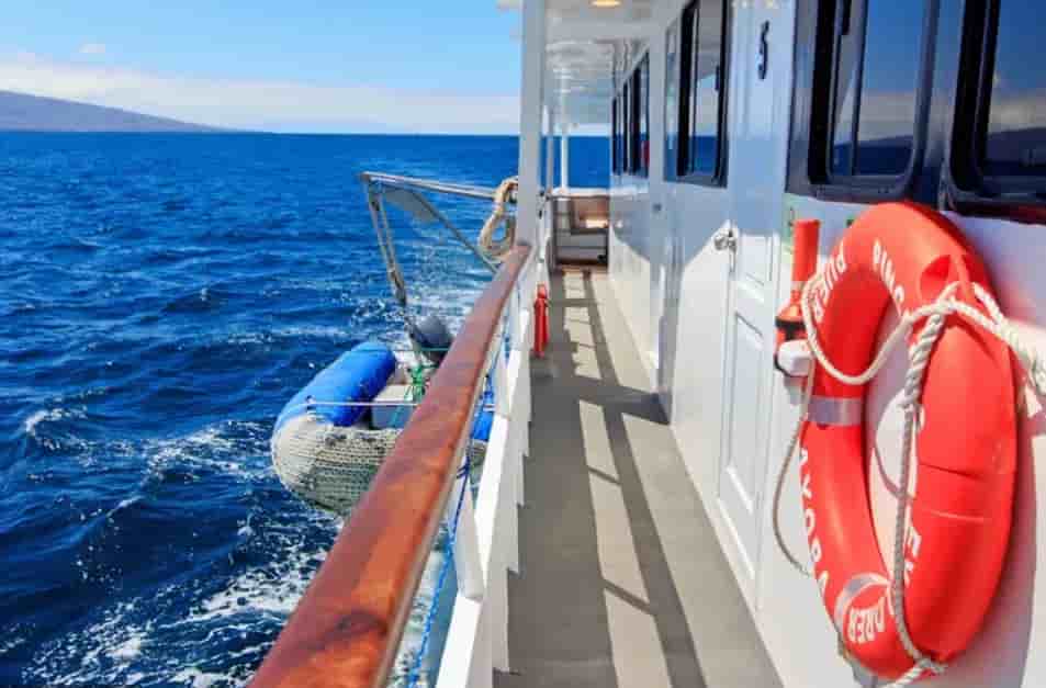 Thumbnail 2 Thumbnail 2