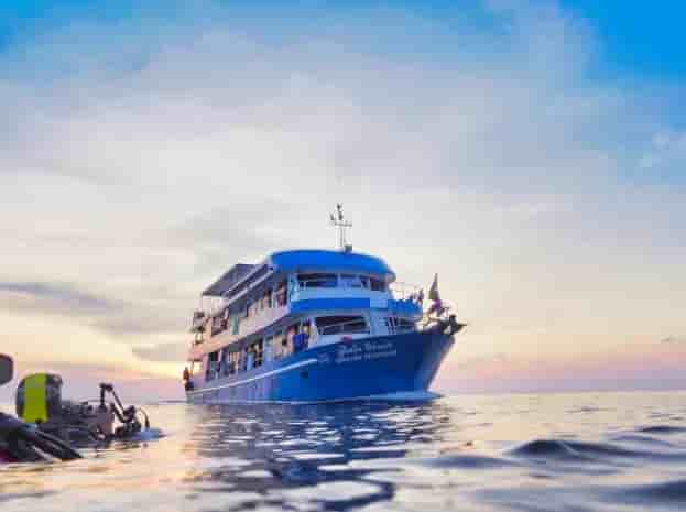 Thumbnail 1 Thumbnail 1