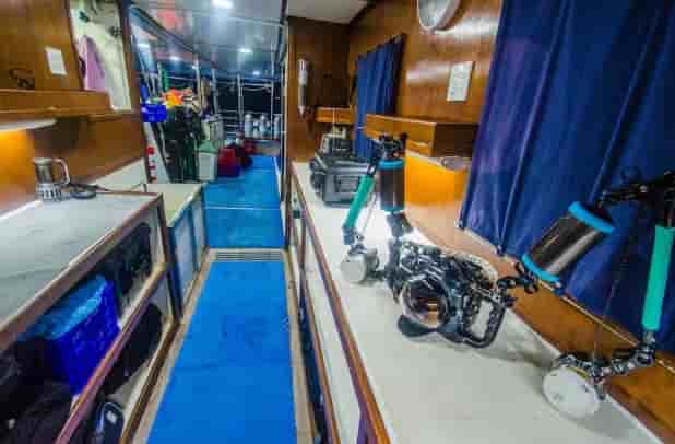 Thumbnail 3 Thumbnail 3