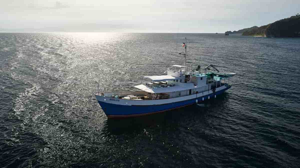 Thumbnail 1 Thumbnail 1