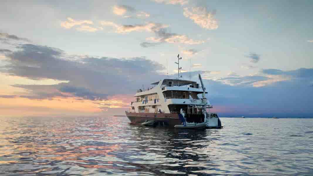 Thumbnail 3 Thumbnail 3