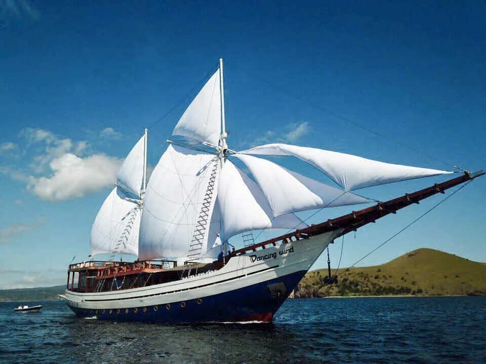 Dancing Wind - image Dancing Wind - image