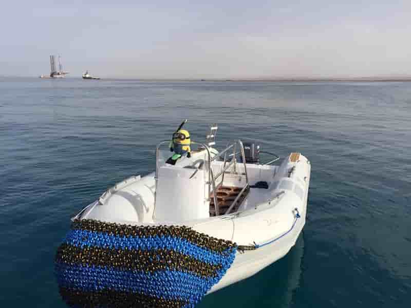 Thumbnail 12 Thumbnail 12