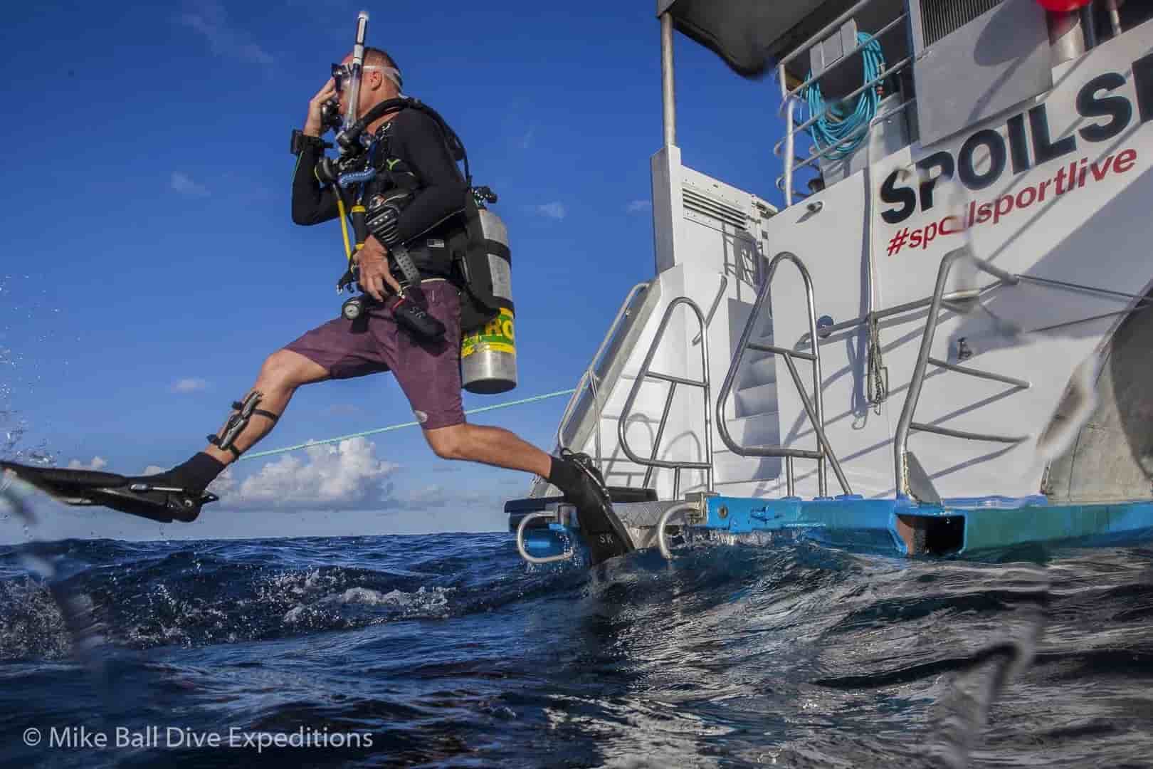 Thumbnail 12 Thumbnail 12