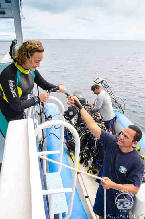 Thumbnail 7 Thumbnail 7