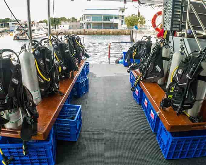 Thumbnail 12 Thumbnail 12