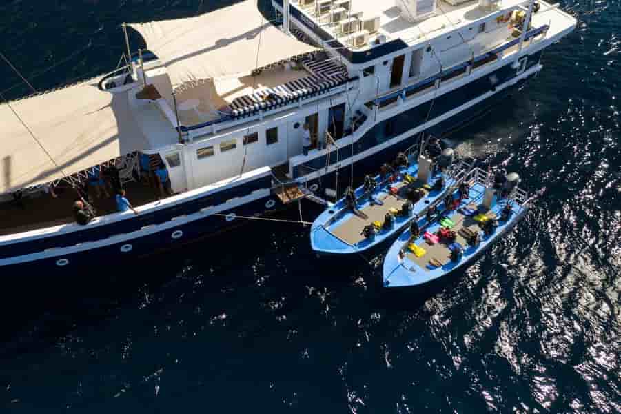 Thumbnail 15 Thumbnail 15