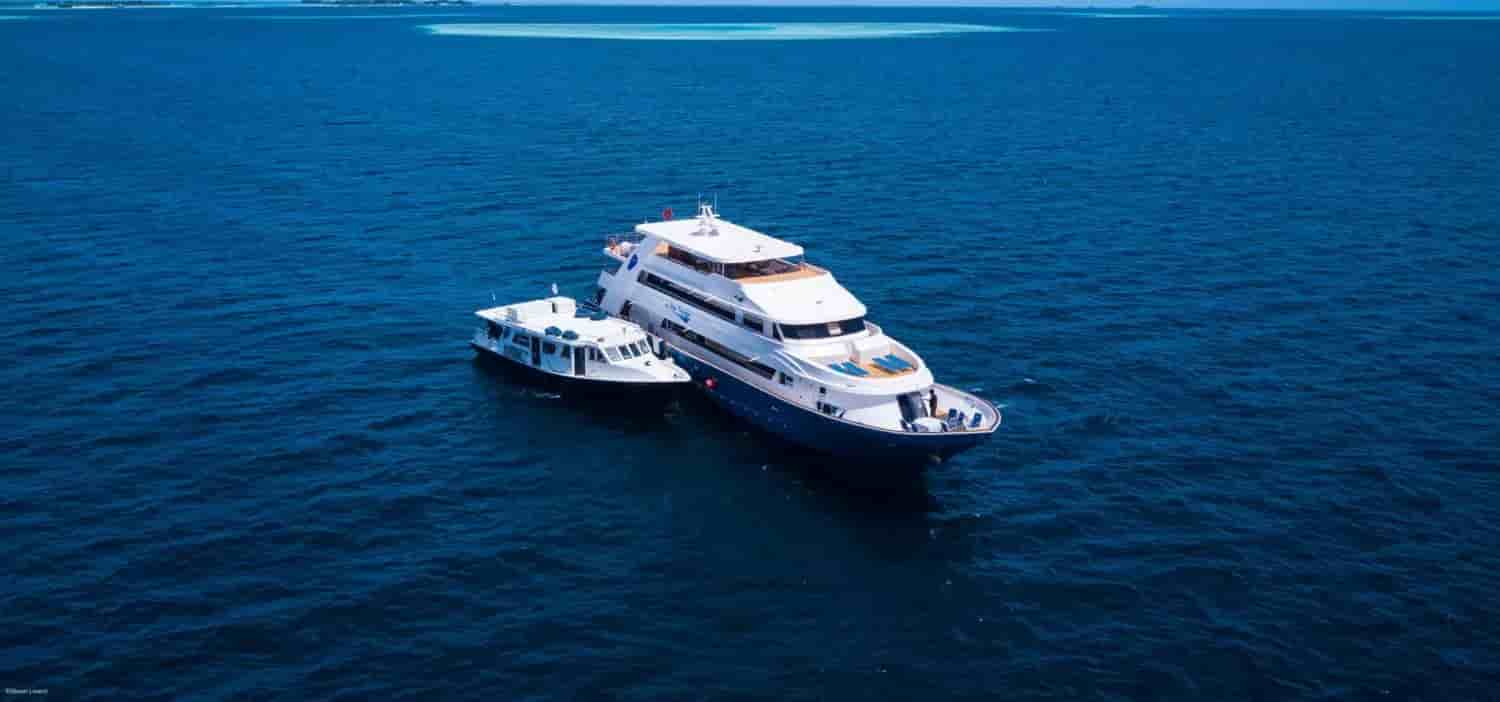 Thumbnail 5 Thumbnail 5