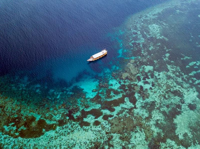 Wakatobi-dive-4.jpg Wakatobi-dive-4.jpg