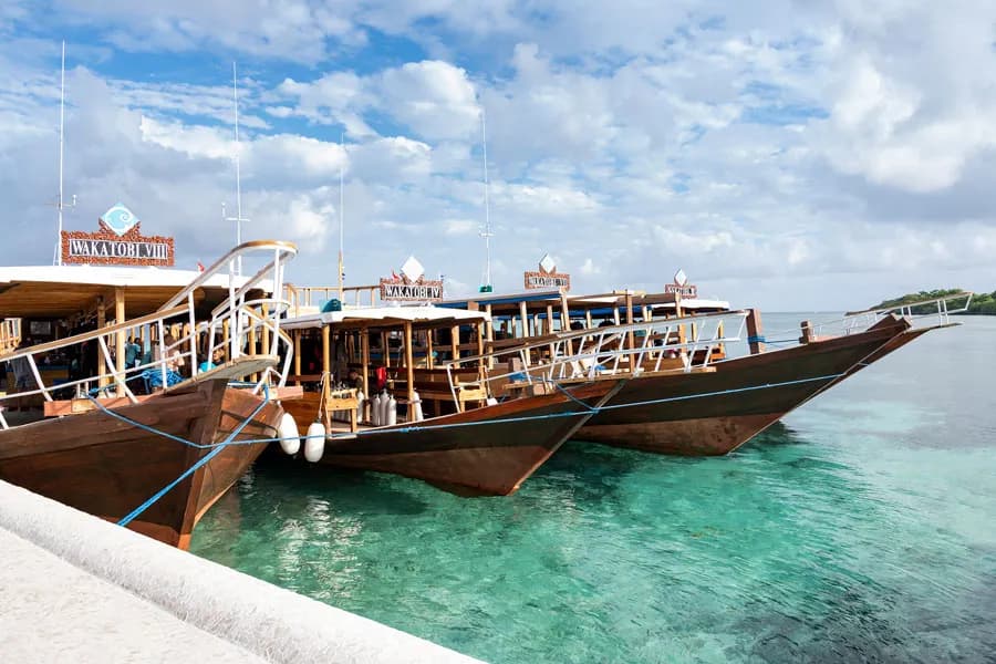 Wakatobi National Park Wakatobi National Park