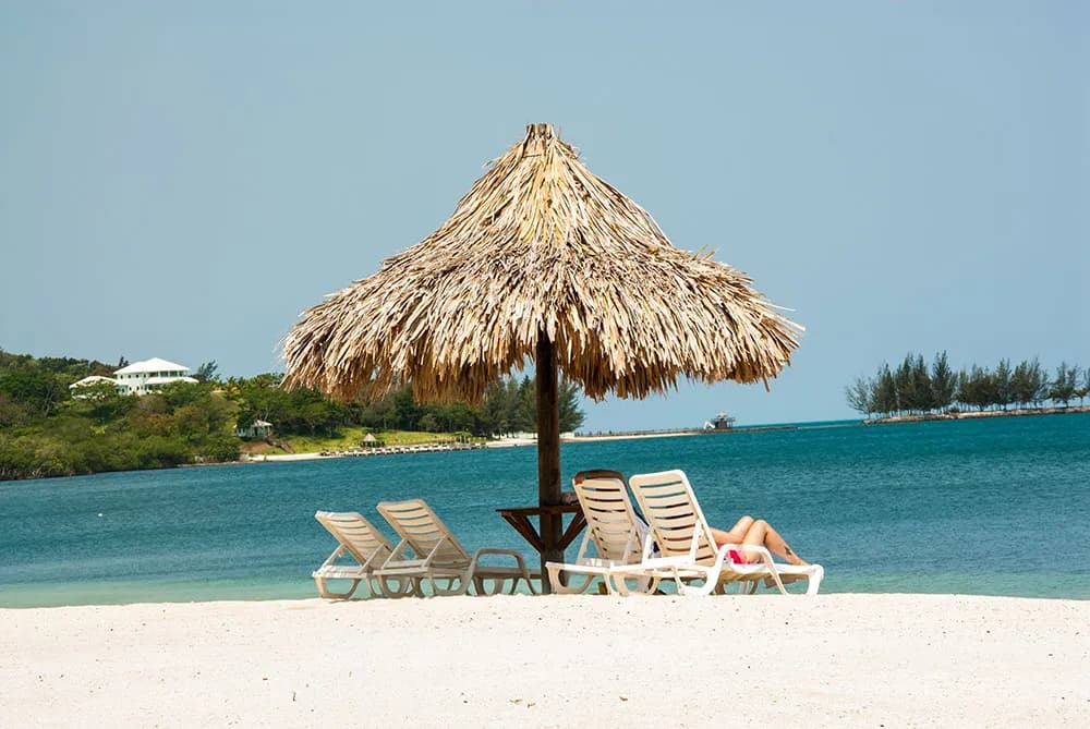 turquoise--05.jpg turquoise--05.jpg