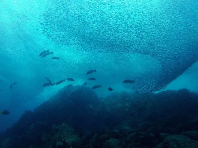 Cabo Pulmo Beach Resort Cabo Pulmo Beach Resort