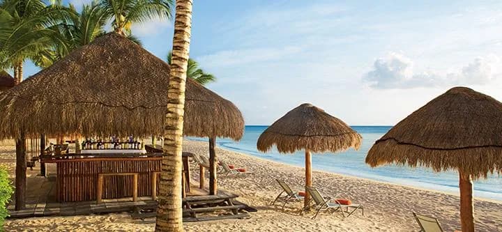 sunscape-sabor-tortugas.jpg sunscape-sabor-tortugas.jpg