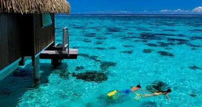 Guests snorkeling in front of the resort Guests snorkeling in front of the resort