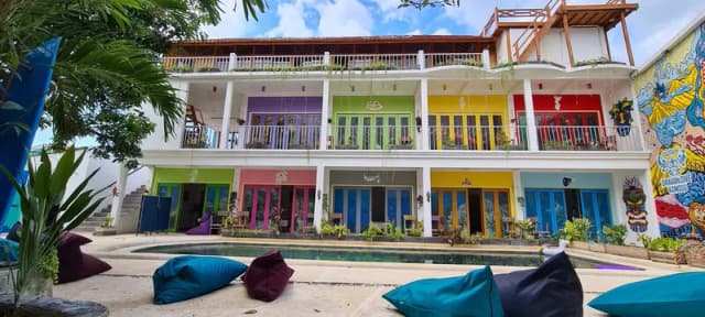 Dragon Dive Komodo Dragon Dive Komodo