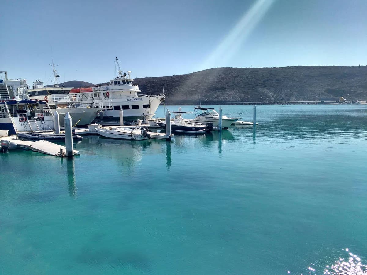 club-hotel-cantamar-dive-3.jpg club-hotel-cantamar-dive-3.jpg