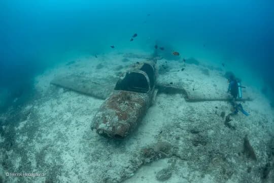 neptune-diving-resort-uw-5.jpg neptune-diving-resort-uw-5.jpg