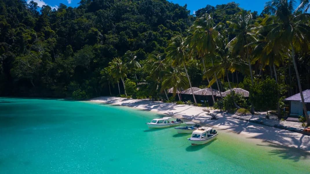 Triton Bay Divers Triton Bay Divers