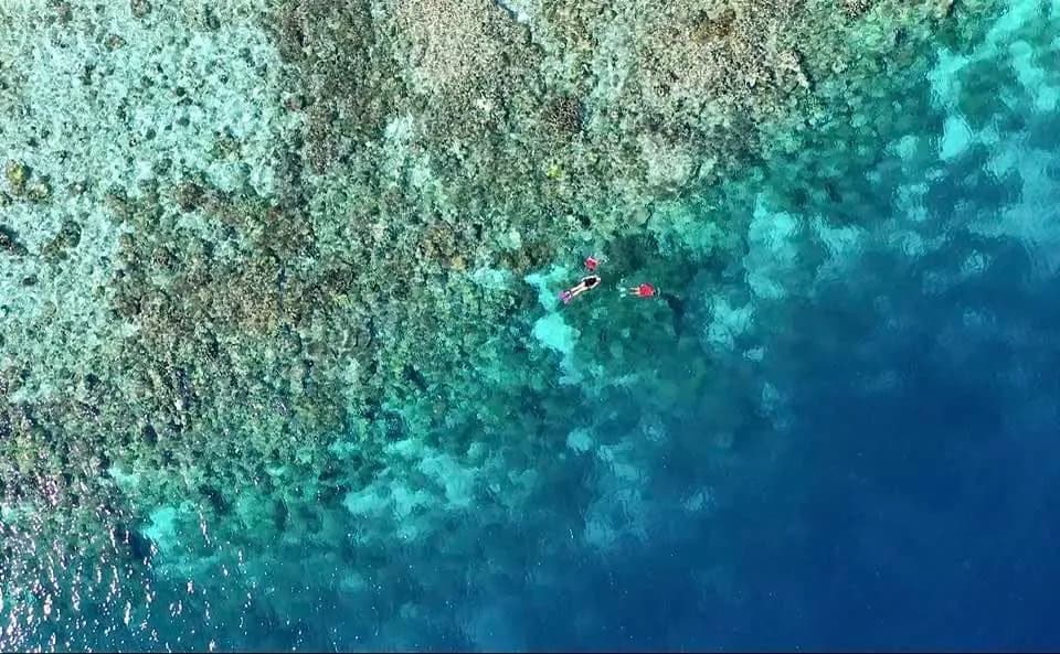 Carousel - image Carousel - image