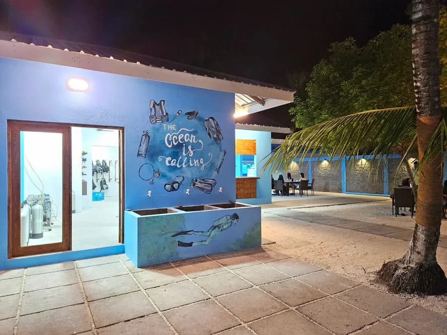 The colorful murals of the dive center The colorful murals of the dive center