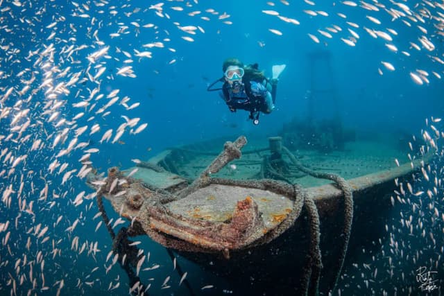 Buceo Carey Buceo Carey