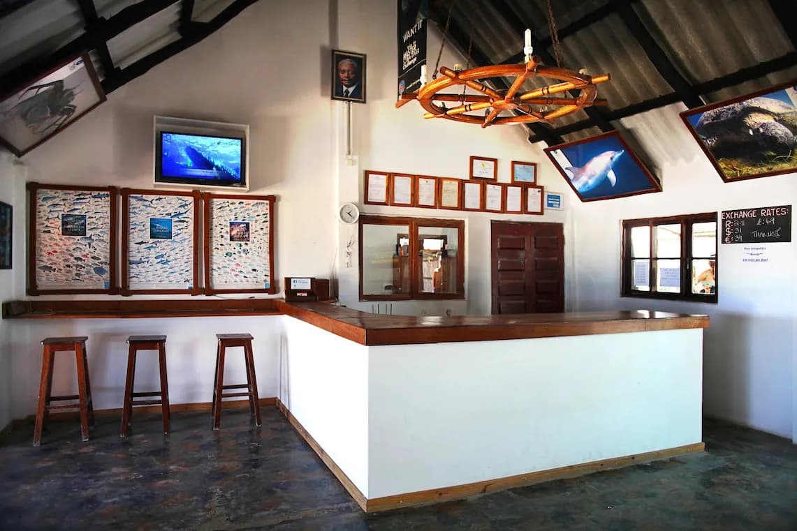 The Tofo Scuba dive center with chairs and tables The Tofo Scuba dive center with chairs and tables