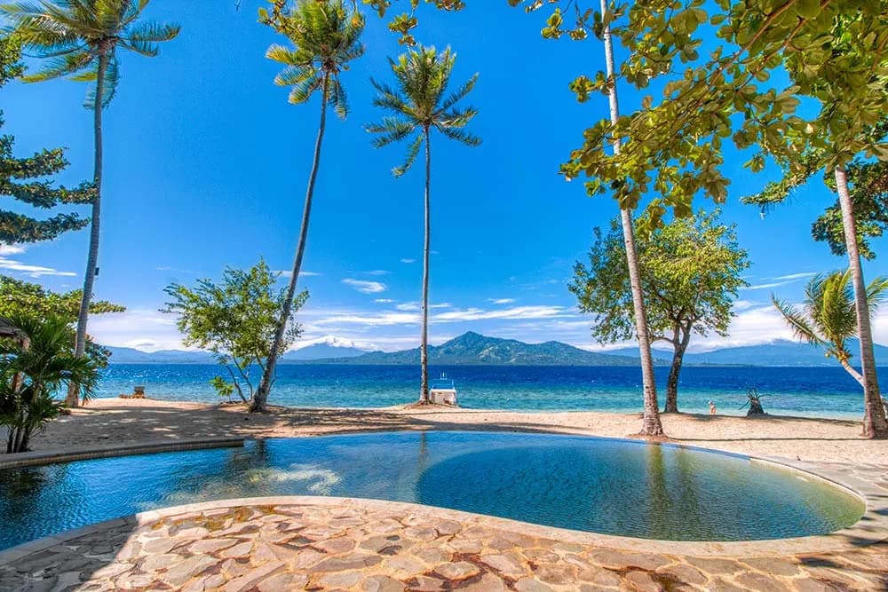 Swimming pool surrounded by palm trees Swimming pool surrounded by palm trees