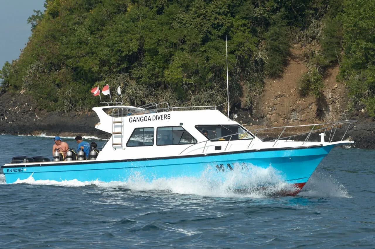 Metita Beach and Dive Resort Metita Beach and Dive Resort