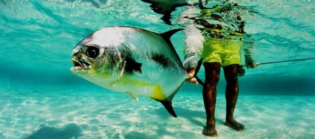 Turneffe Flats Turneffe Flats