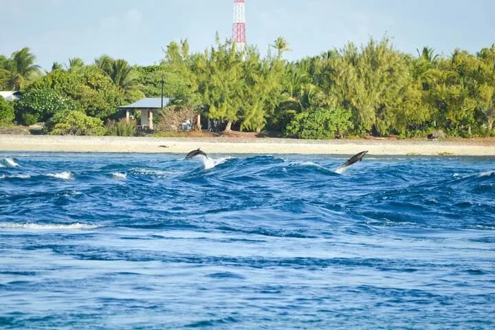 hotel-kia-ora-12-Wild-Dolphins-at-Tiputa-Pass.jpg hotel-kia-ora-12-Wild-Dolphins-at-Tiputa-Pass.jpg