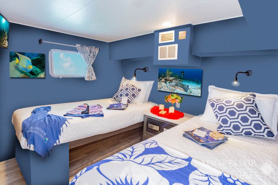 Deluxe Stateroom Lower Deck - image Deluxe Stateroom Lower Deck - image