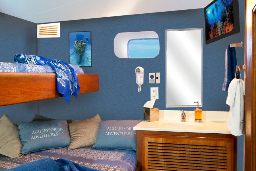 Bunk-Style Deluxe Stateroom Lower Deck - image Bunk-Style Deluxe Stateroom Lower Deck - image