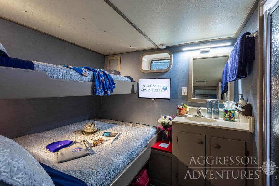 Deluxe Stateroom Lower Deck - image Deluxe Stateroom Lower Deck - image