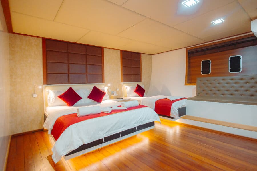 Standard Lower Deck - image Standard Lower Deck - image