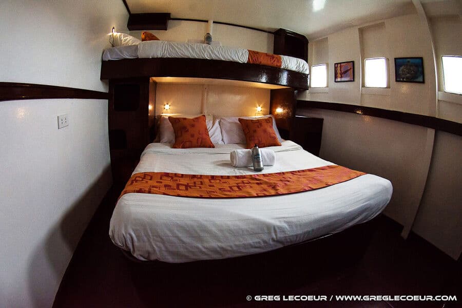 Deluxe Lower Deck - image Deluxe Lower Deck - image