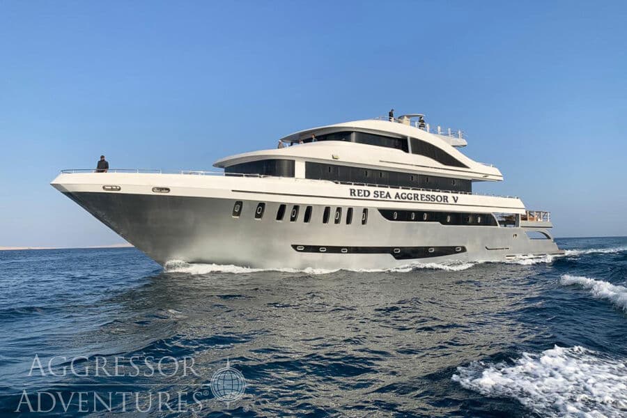 Deluxe - various decks Main Deck - image Deluxe - various decks Main Deck - image