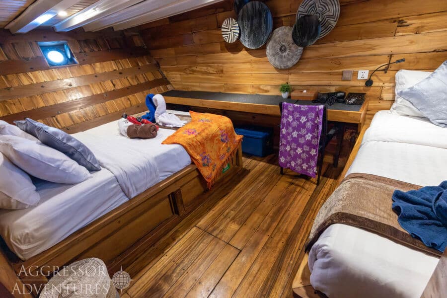 Deluxe Stateroom Lower Deck - image Deluxe Stateroom Lower Deck - image